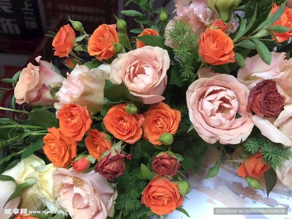 多彩玫瑰花卉组合