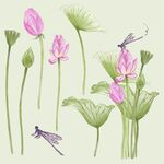 水墨风荷花蜻蜓插画