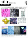 美术培训班 展板