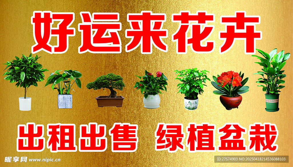 好运来花卉出租出售绿植
