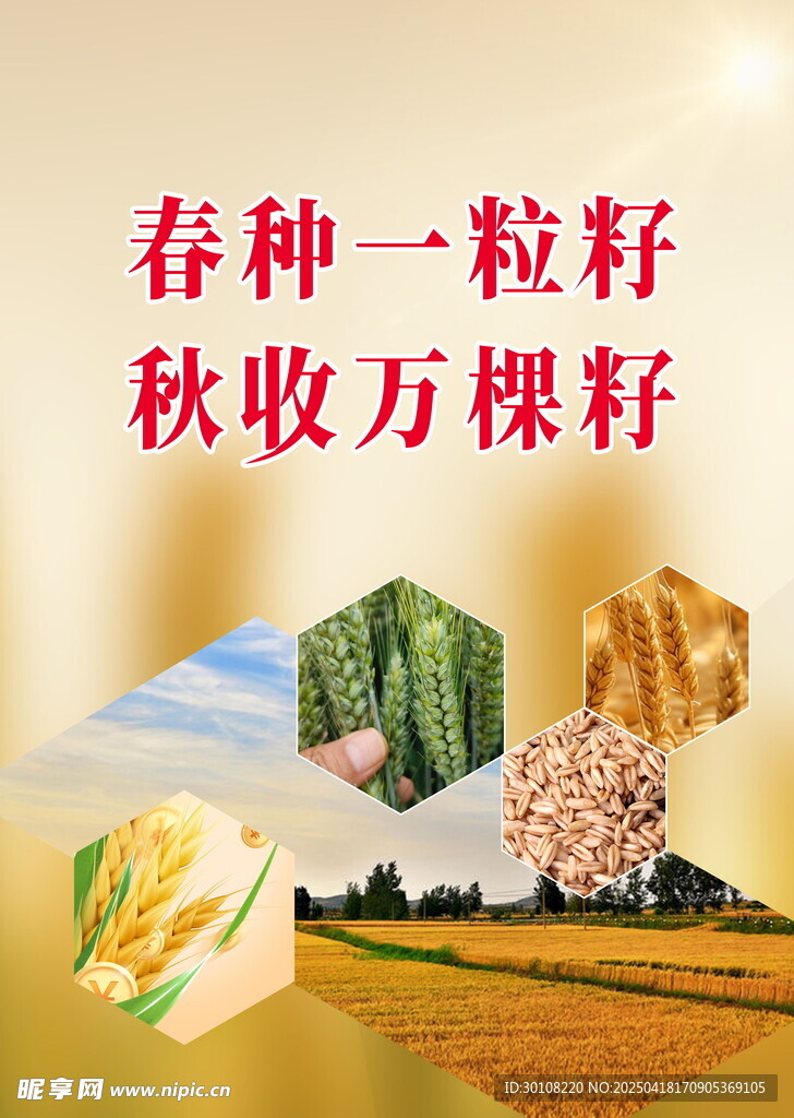 产品单页