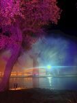 夜游胡杨林