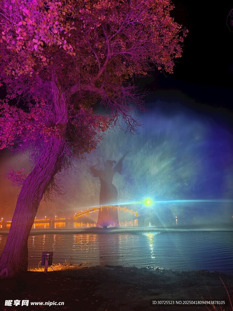 夜游胡杨林