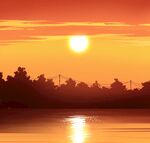 夕阳下的湖面与树木美景