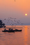 夕阳下渔船飞鸟海上美景
