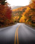 秋日公路美景