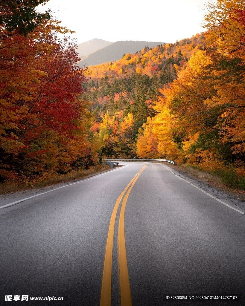 秋日公路美景