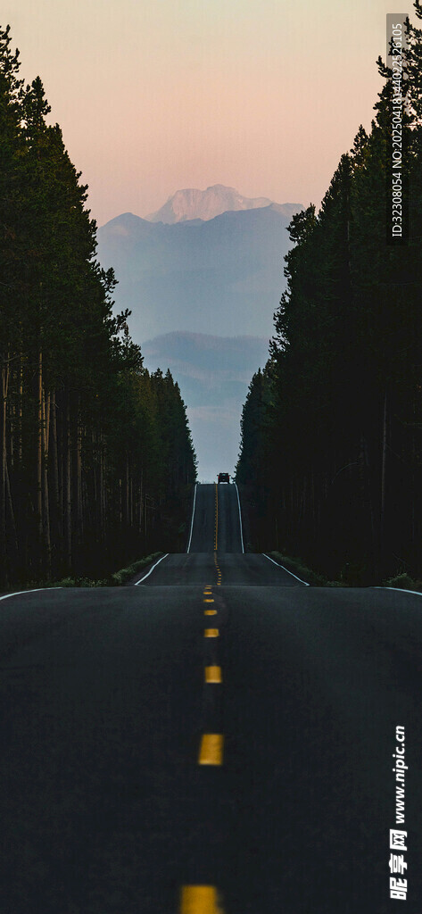 黄昏下的林间公路