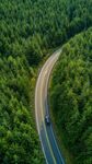 林间蜿蜒公路上的行驶车辆