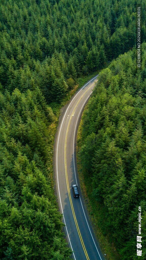林间蜿蜒公路上的行驶车辆
