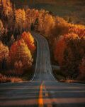 秋日蜿蜒公路美景