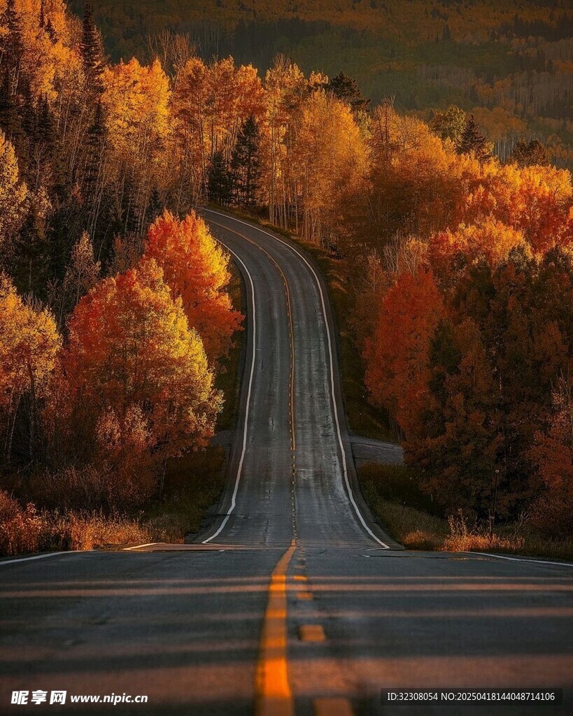 秋日蜿蜒公路美景