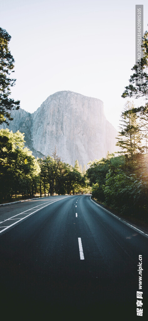 公路穿行山林间美景