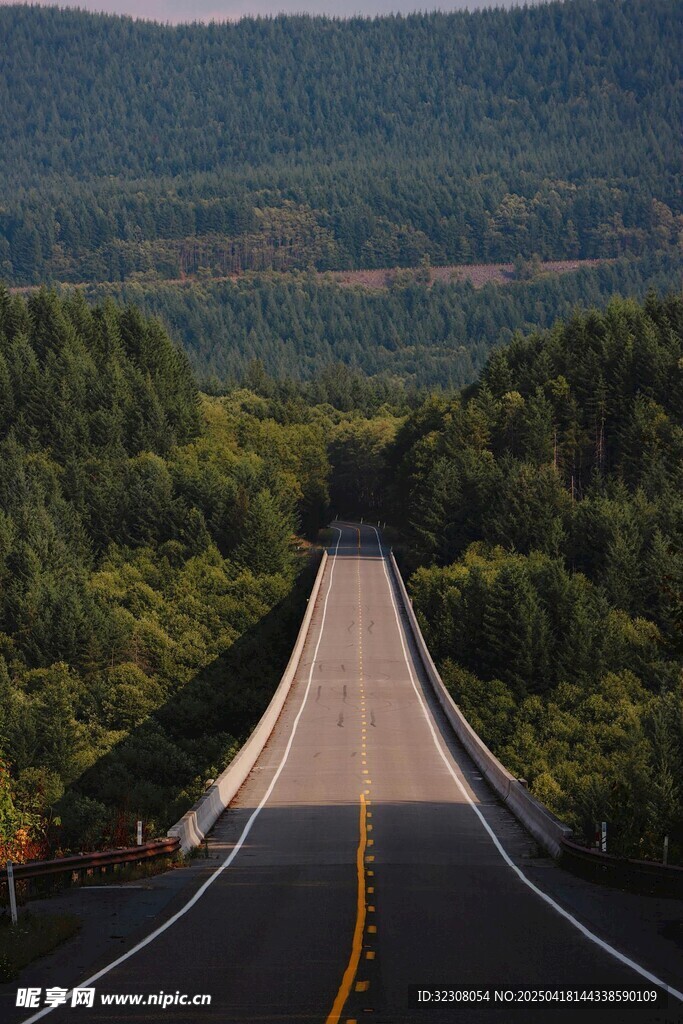 蜿蜒公路穿行于葱郁山林
