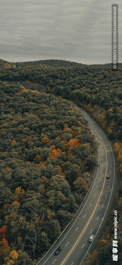 蜿蜒公路穿行多彩山林
