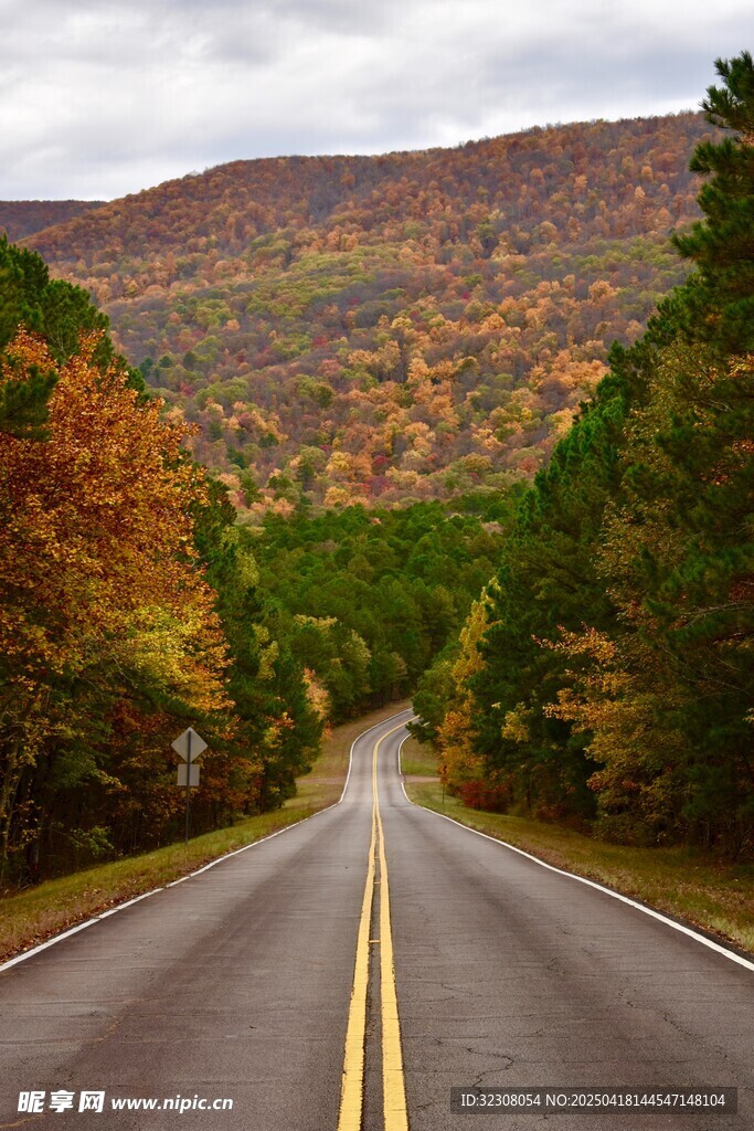 秋日林间公路美景