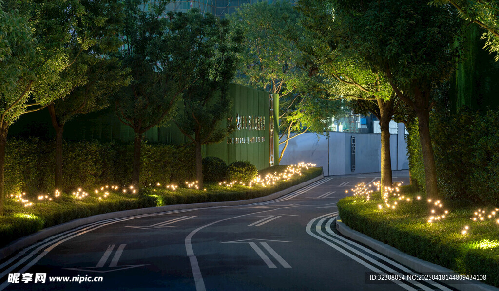 夜间林荫道路景观