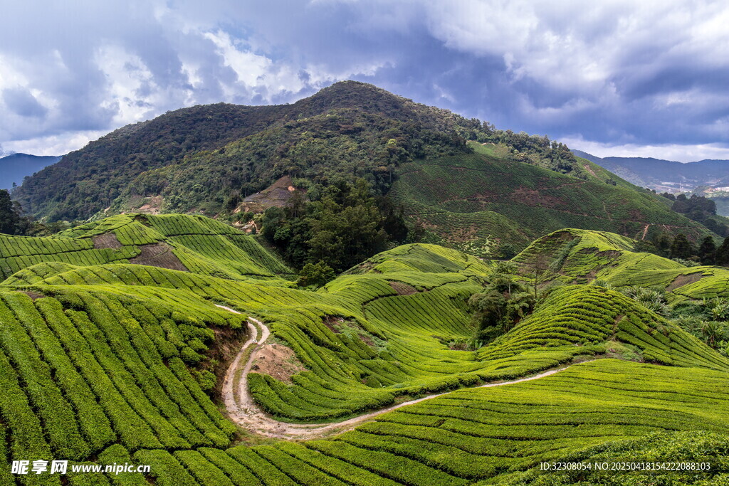山间绿野蜿蜒小路美景