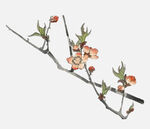水墨桃花枝