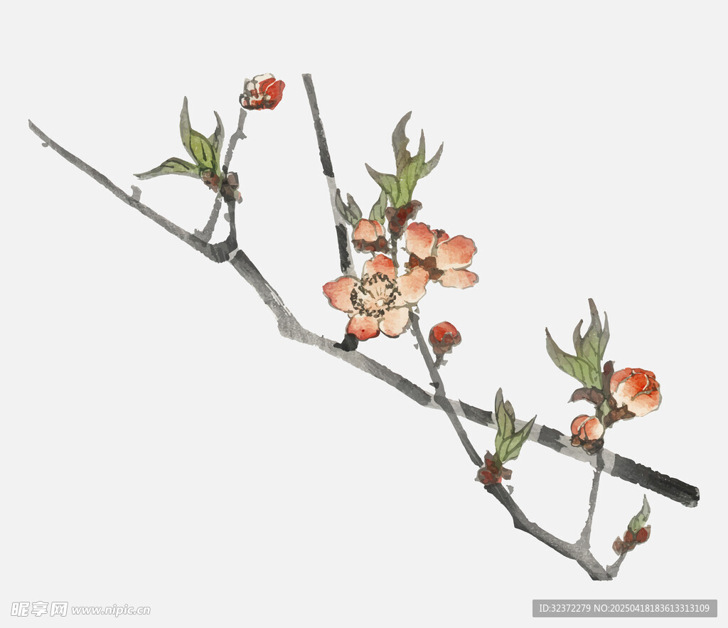 水墨桃花枝