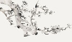水墨风梅花枝干图