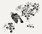 水墨花鸟图