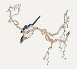 水墨花鸟画