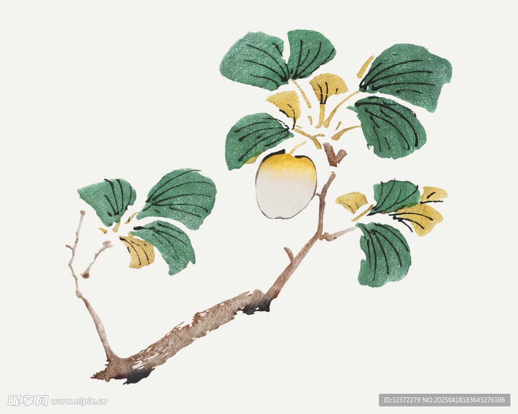 枝头绿叶黄果中式插画