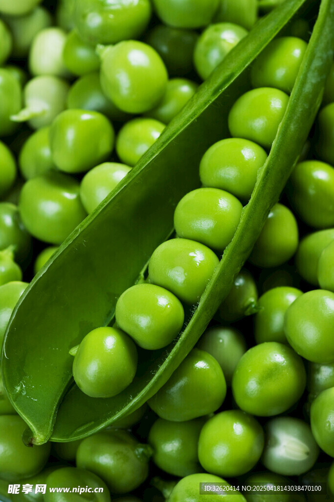 青豌豆 