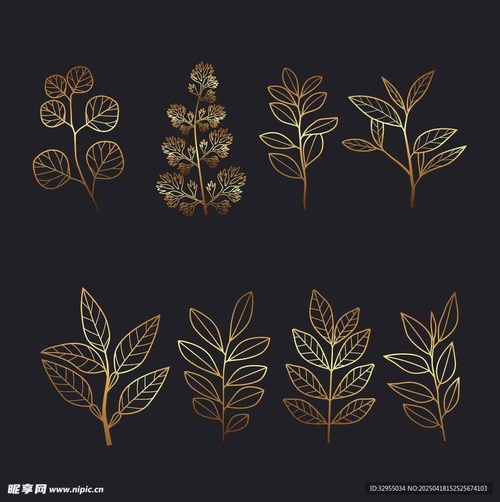 金色植物线条图案设计素材
