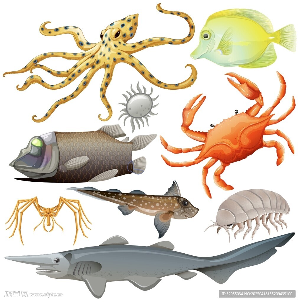 海洋生物