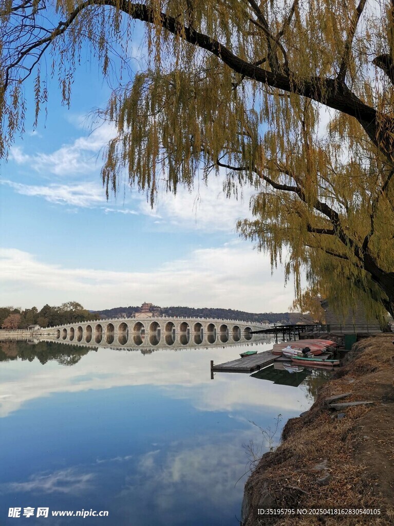 湖畔垂柳与桥的静谧景致