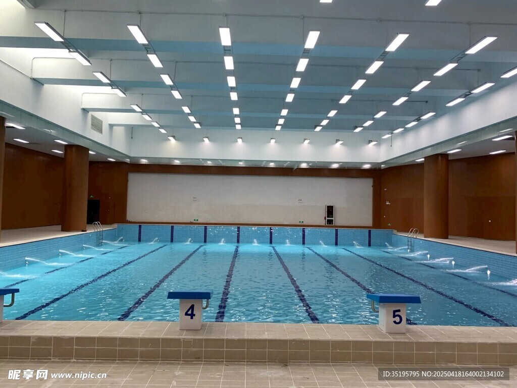 室内标准游泳池场景