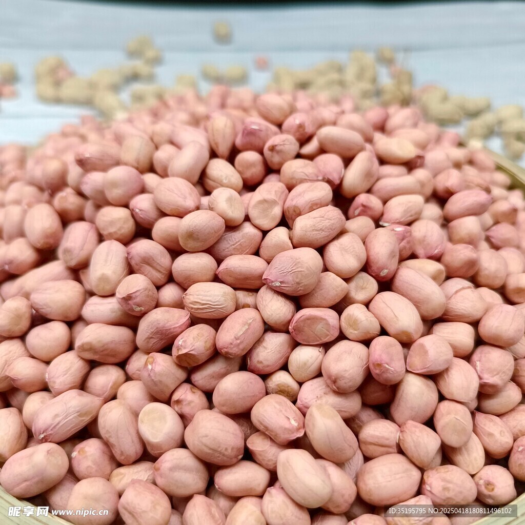 饱满花生米堆成诱人小山