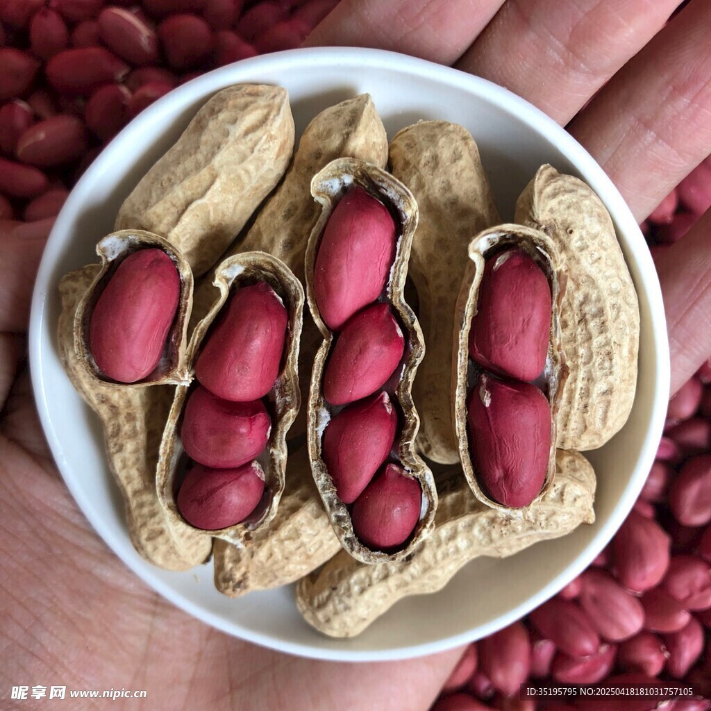 手捧盘中剥开的红衣花生