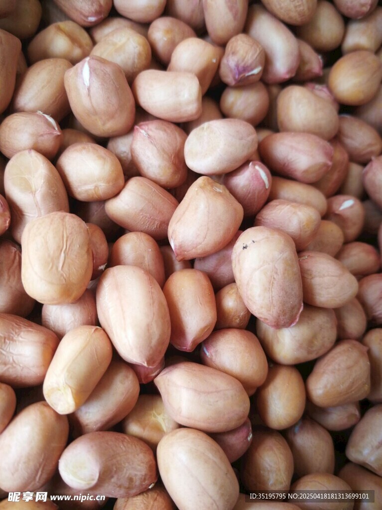 饱满花生米特写