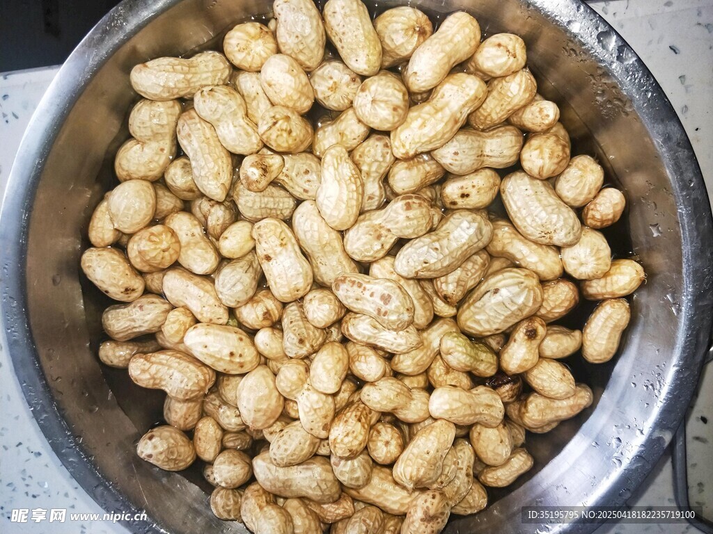 盆中饱满的新鲜花生仁