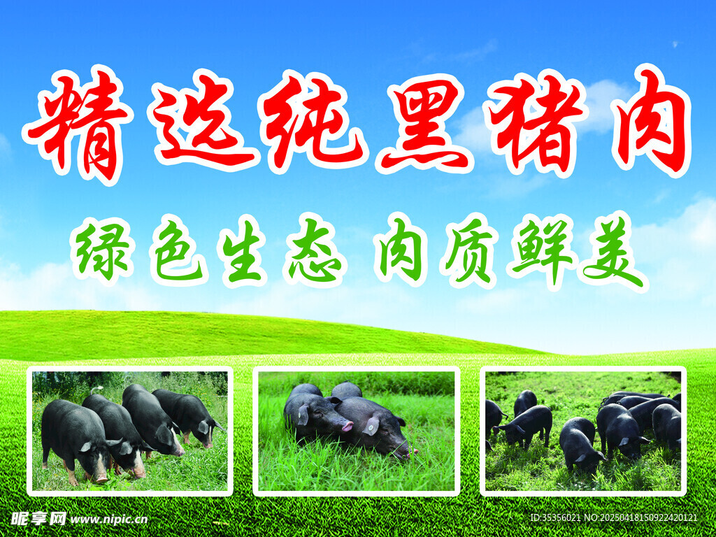 黑猪肉