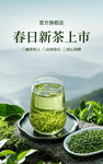 春日新茶上市 清新绿茶图