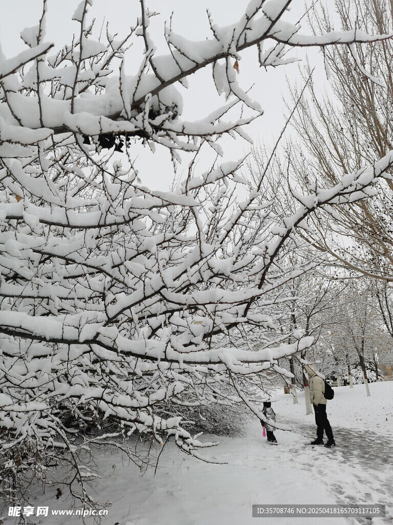 雪后林间漫步的温馨场景