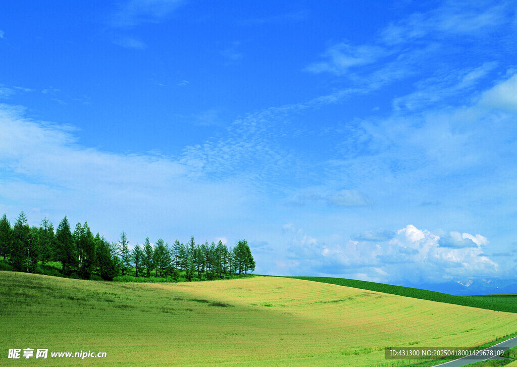 田园风光美景