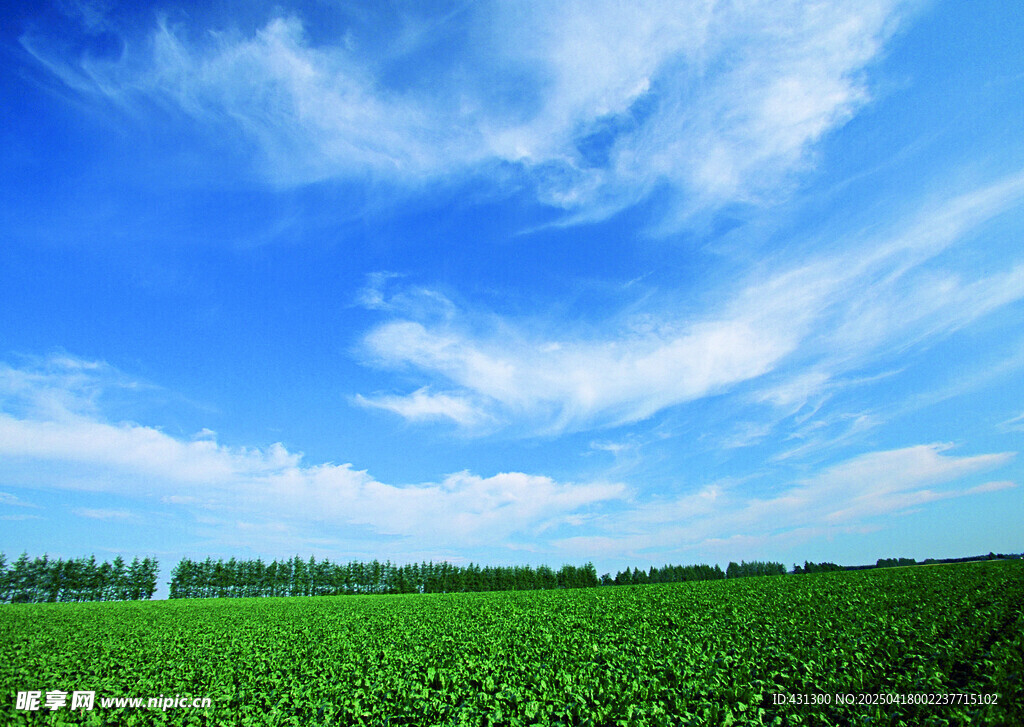 蓝天绿野田园风光美景