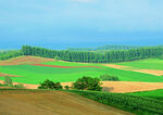 田园风光美景