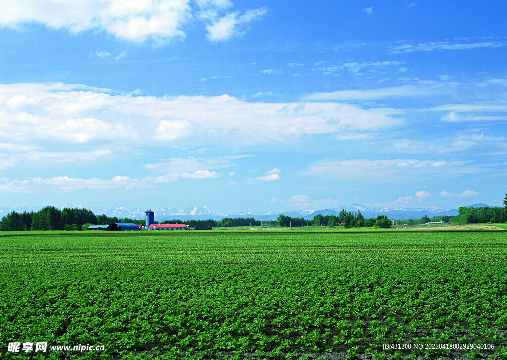 广袤绿野田园风光美景
