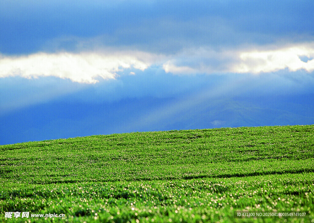 草原蓝天美景