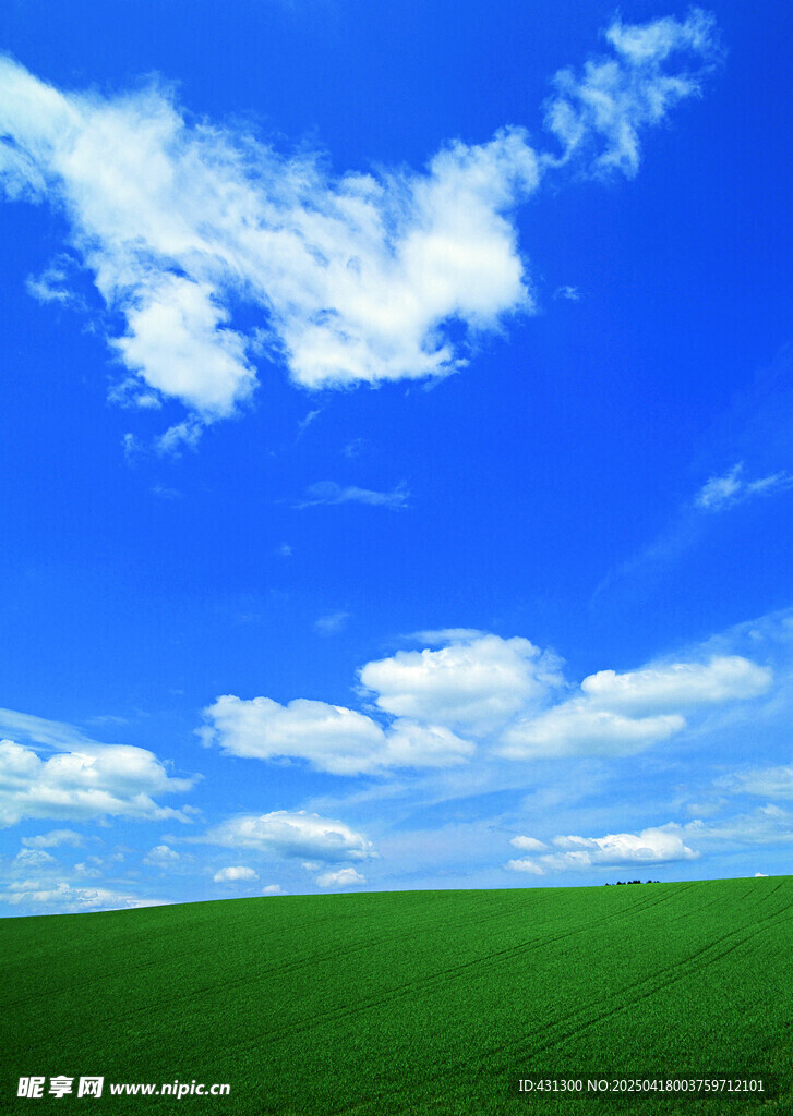 蓝天绿地美景