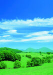 翠绿原野与蓝天美景
