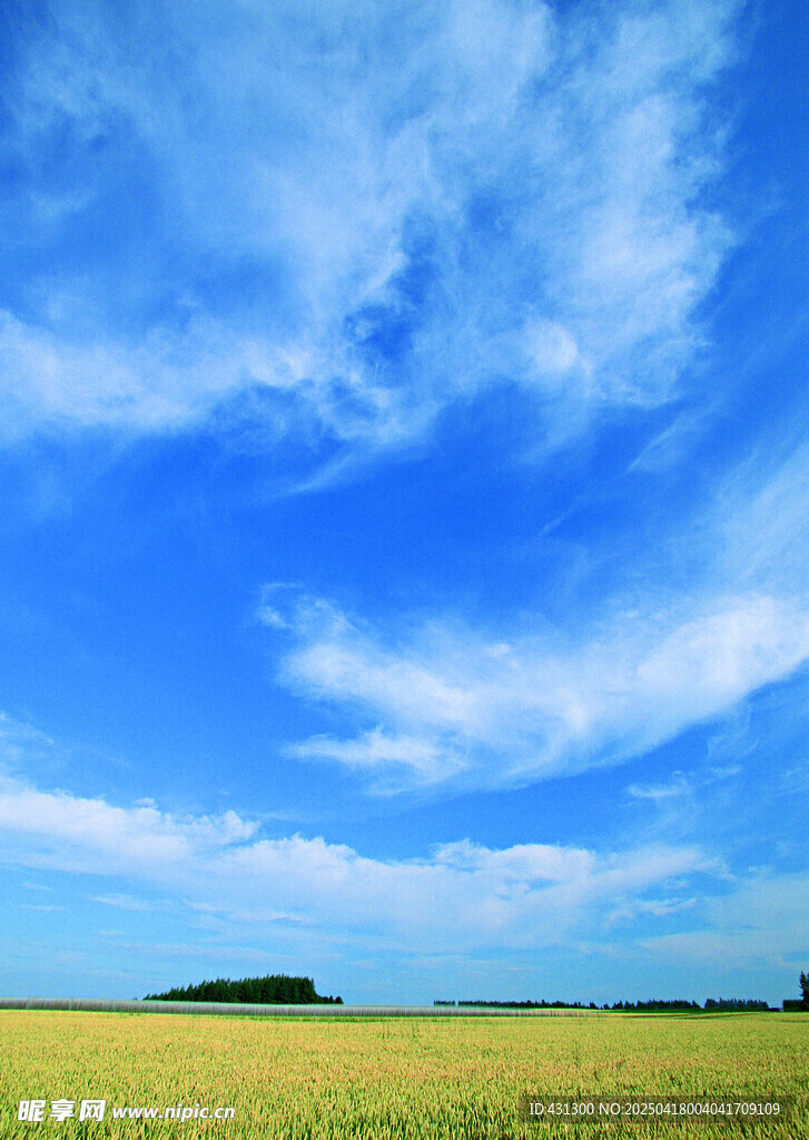 蓝天绿野田园风光美景