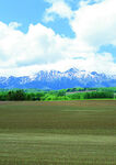 广袤田野与远处雪山美景