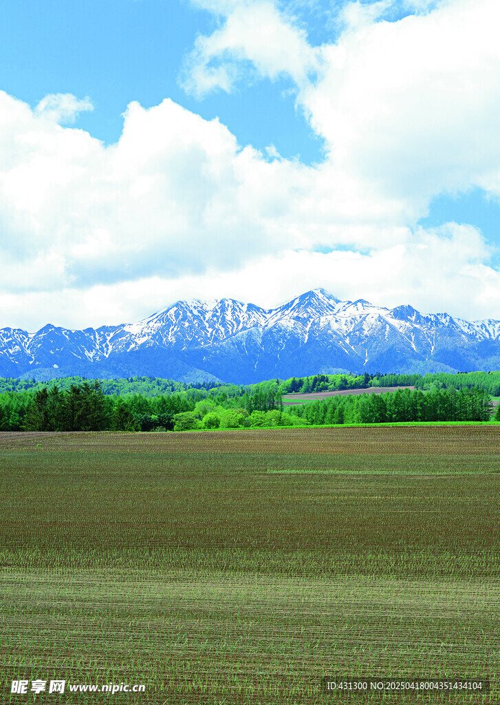 广袤田野与远处雪山美景